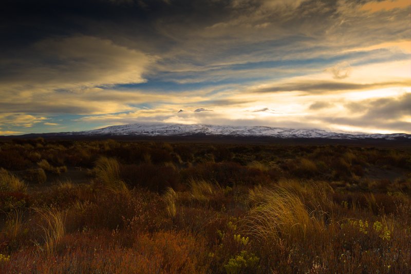 Ruapehu in the distance