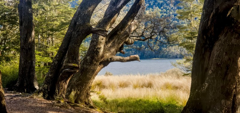 Mavora Lakes campground